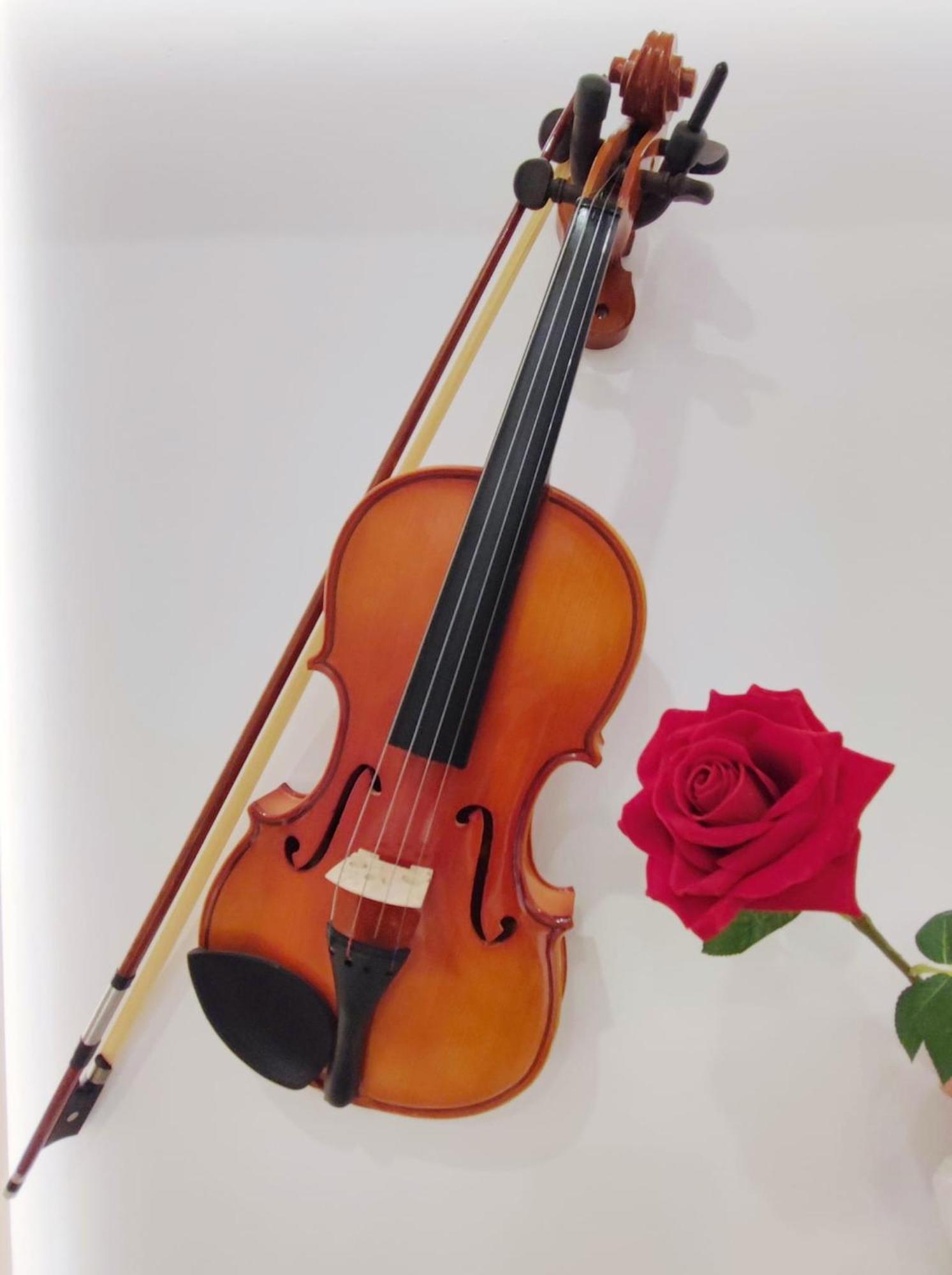 Arena Concert Concerto Love - Historic House Amorino At "Palazzo Tiolo" Palace Verona Luaran gambar